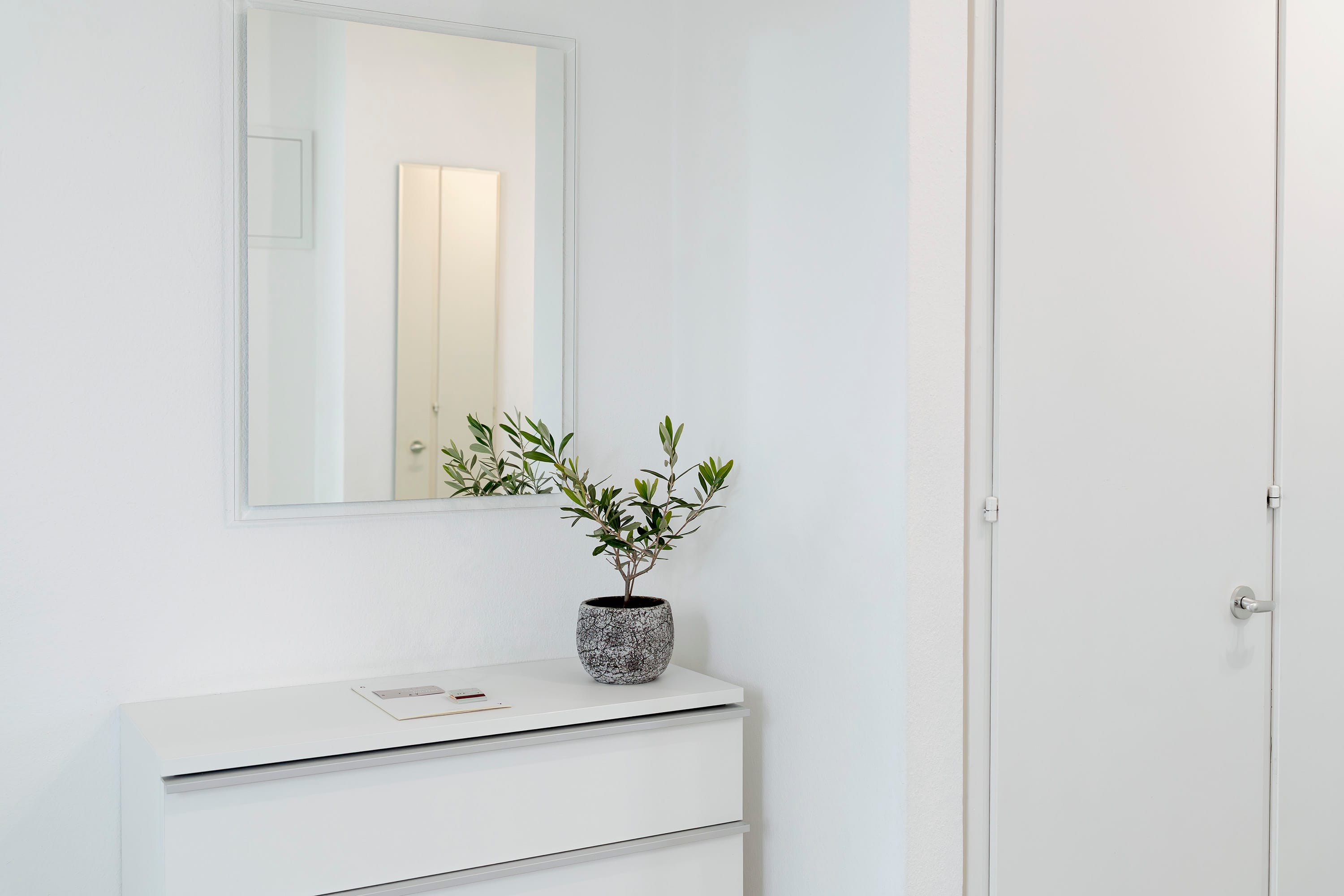 1-bedroom-apartment-entrance-ringstrasse